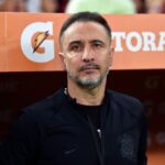 Wolves Appoint Vitor Pereira Amid Relegation Battle