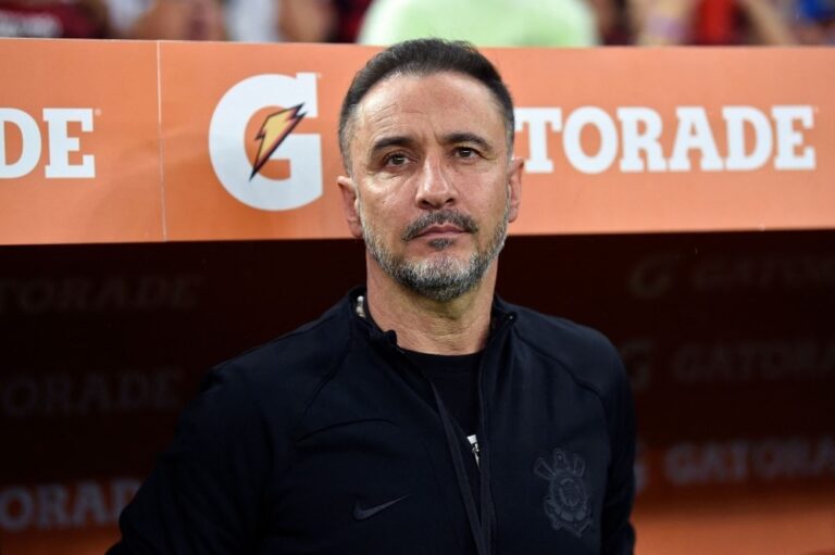 Wolves Appoint Vitor Pereira Amid Relegation Battle